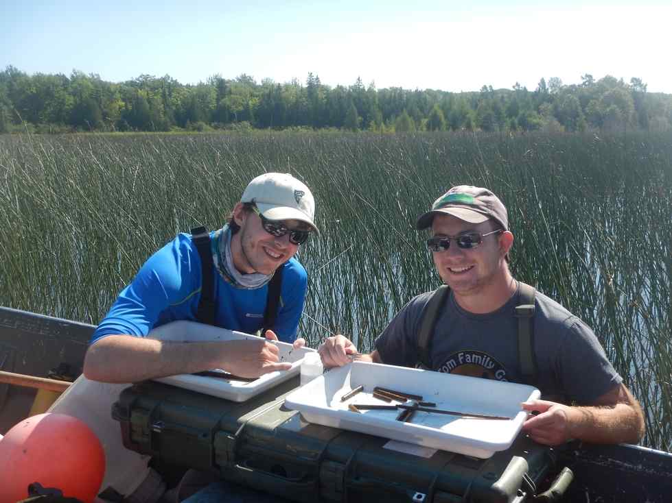 Alan and Evan collect macroinvertebrates from a coastal wetland